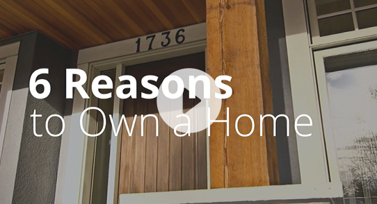 Reasons to Own