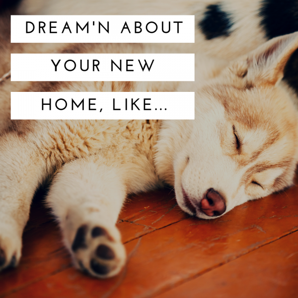 instagram photo for realtors