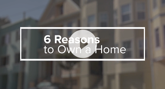 Reasons to Own